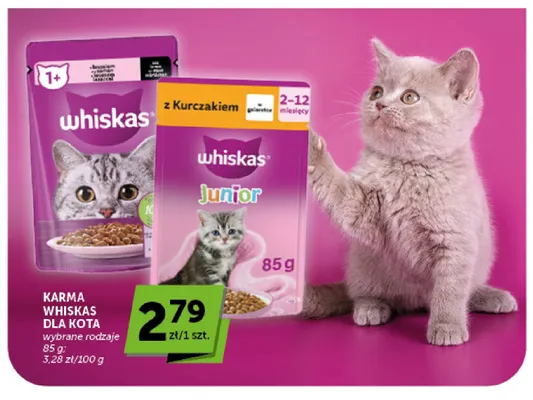 Karma dla kota Whiskas 1+ promocja w Groszek