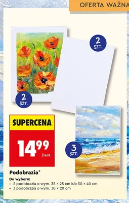 Podobrazia LOOZZ 2-pak 30x40 cm promocja w Biedronka