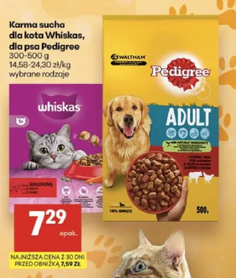 Karma sucha dla psa Pedigree promocja w Delikatesy Centrum