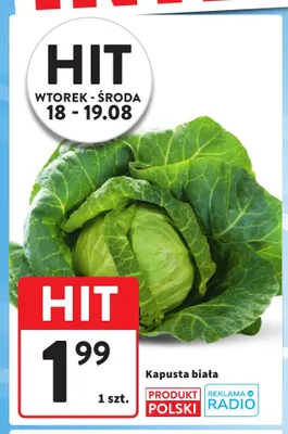 Kapusta biała promocja w Intermarche