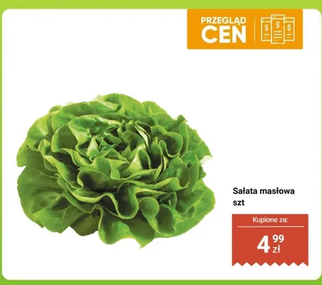 Sałata masłowa 1 szt. promocja w Dino