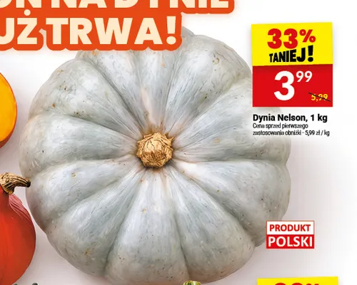 Dynia Nelson promocja w Twój Market