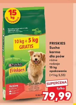 Sucha karma dla psów Purina Friskies Active promocja w Kaufland