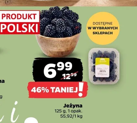 Jeżyna promocja w Netto