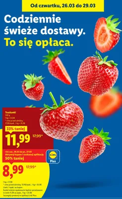 Truskawki promocja w Lidl