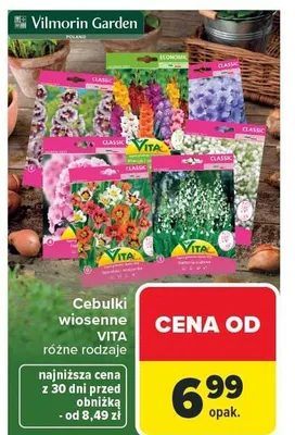Cebulki wiosenne VITA promocja w Carrefour