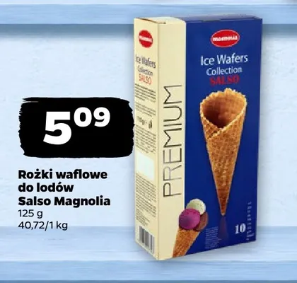 Rożki waflowe do lodów Salso Magnolia promocja w Netto