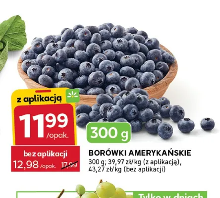Borówki amerykańskie promocja w Stokrotka