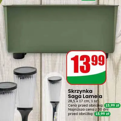 Skrzynka Saga Lamelia 28,5x17cm 1szt. promocja w Dino