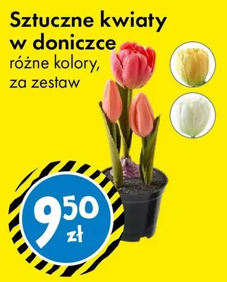 Sztuczne kwiaty w doniczce promocja w Tedi
