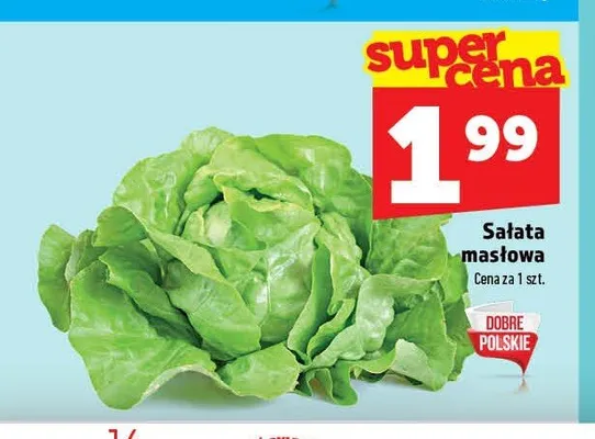 Sałata masłowa promocja w TOPAZ