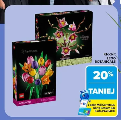Klocki LEGO Botanicals promocja w Carrefour