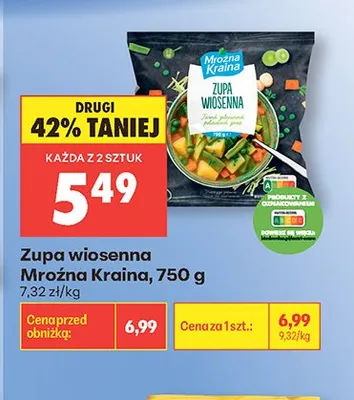 Zupa wiosenna Mroźna Kraina 750g promocja w Biedronka