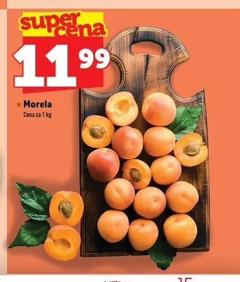 Morela promocja w TOPAZ