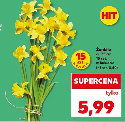 Żonkil promocja w Kaufland