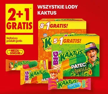Lody 2+1 GRATIS promocja w Biedronka