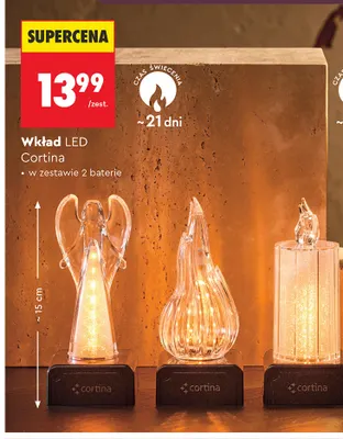 Wkład LED Cortina promocja w Biedronka