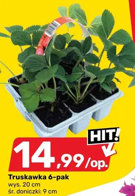 Gazetka, strona 11 promocja w Bricomarche