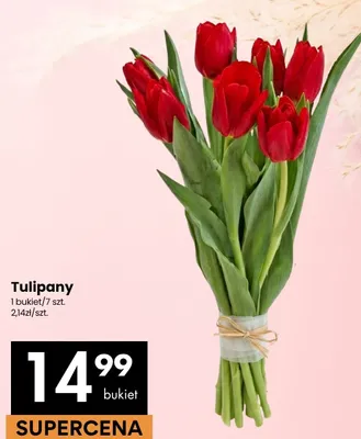 Tulipany promocja w Delikatesy Centrum