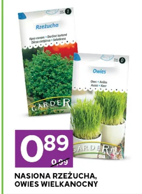 Owies wielkanocny nasiona promocja w Stokrotka