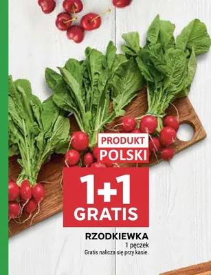 Rzodkiewka polska promocja w Stokrotka
