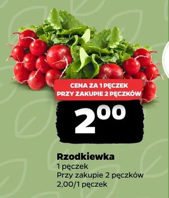Rzodkiewka promocja w Netto