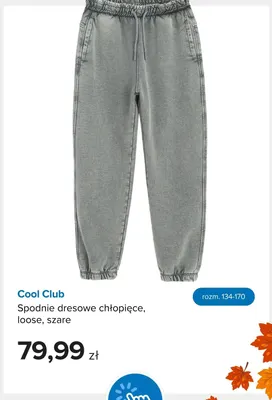 Spodnie dresowe chłopięce loose szare Cool Club promocja w Smyk