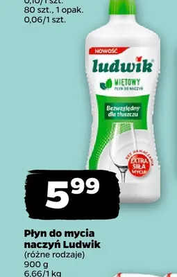 Płyn do mycia naczyń Ludwik promocja w Netto