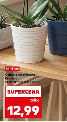 Osłonka ceramiczna Escalera do storczyków, różne kolory promocja w Kaufland