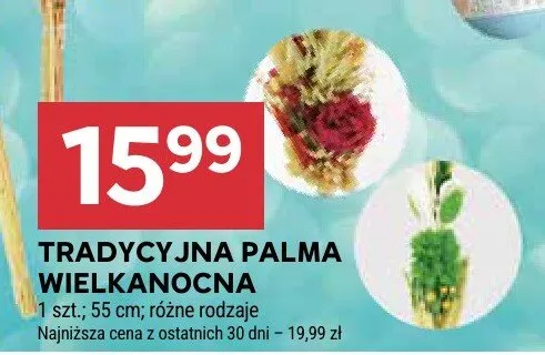 Tradycyjna palma wielkanocna promocja w Stokrotka
