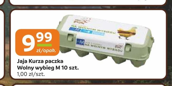 Jaja kurze wolny wybieg M promocja w Gama
