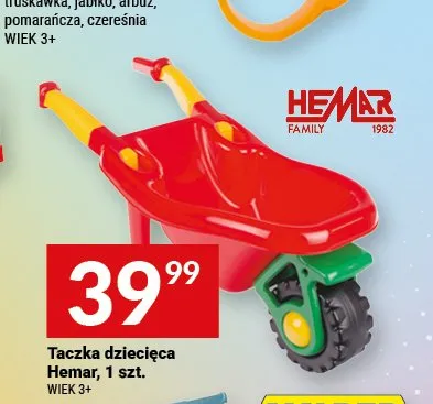 Taczka dziecięca promocja w Twój Market