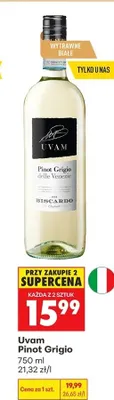 Wino Pinot Grigio promocja w Biedronka