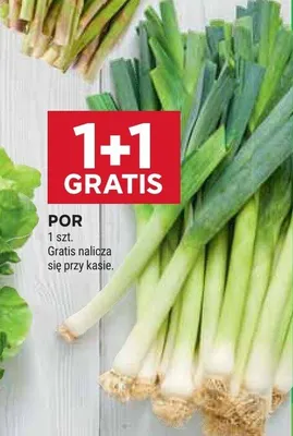 Por promocja w Stokrotka