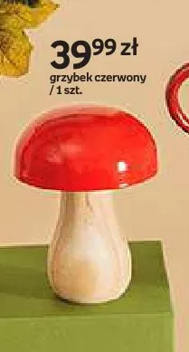 Grzybek czerwony Hello Autumn promocja w Empik