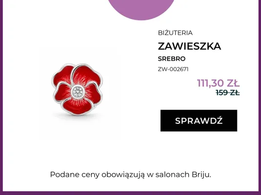 Zawieszka srebro ZW-002671 promocja w Briju