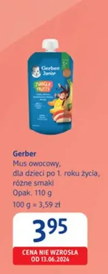 Mus owocowy Gerber Jungle Fruits promocja w Drogerie DM