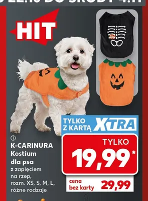 Kostium dla psa z zapięciem na rzep K-Carinura promocja w Kaufland