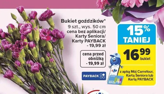 Bukiet goździków wys. 50cm promocja w Carrefour