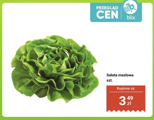Sałata masłowa promocja w Dino