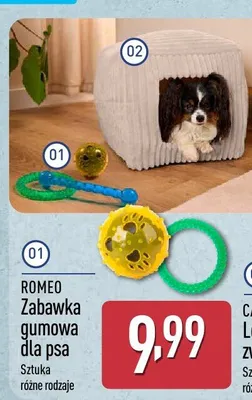 Zabawka gumowa dla psa promocja w Aldi