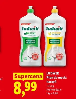 Płyn do mycia naczyń miętowy Ludwik promocja w Lidl