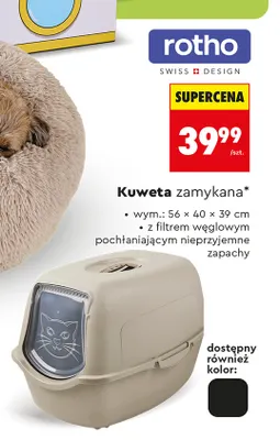 Kuweta zamykana Rotho promocja w Biedronka