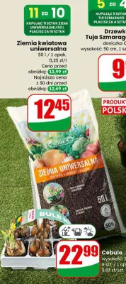 Ziemia kwiatowa uniwersalna promocja w Dino