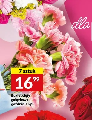 Bukiet cięty gałązkowy goździk 7-pak promocja w Twój Market