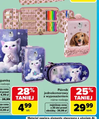 Piórnik jednokomorowy z wyposażeniem promocja w Carrefour