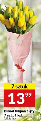 Bukiet tulipan cięty 7+kt promocja w Twój Market