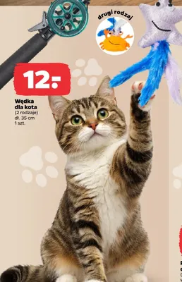 Wędka dla kota promocja w Netto