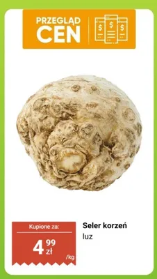 Seler korzeń luz promocja w Biedronka