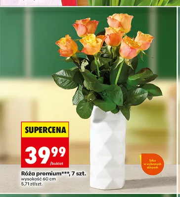 Róża premium 7-pak promocja w Biedronka